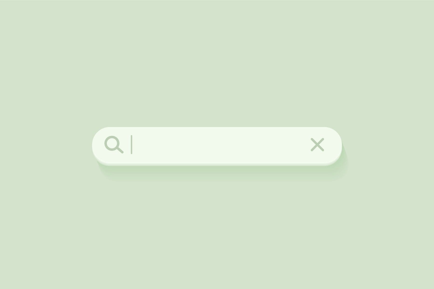 a search bar